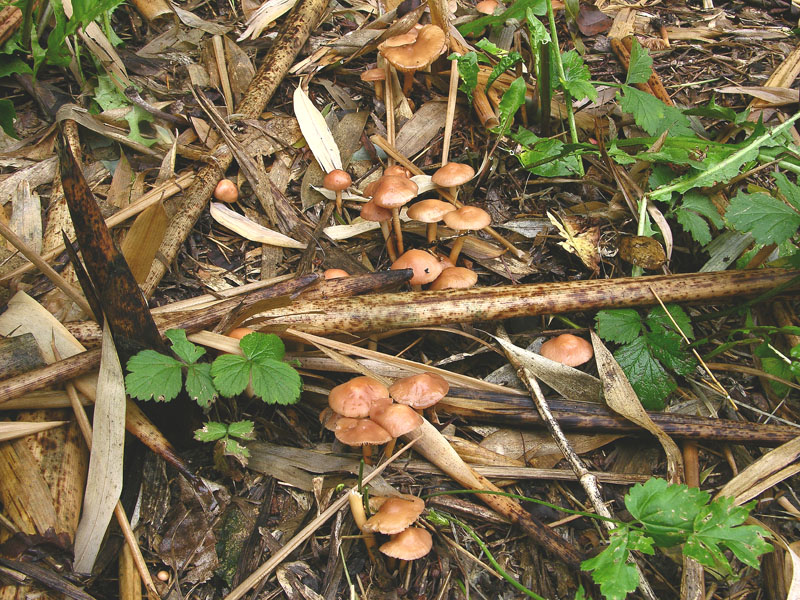 Risposte griglia 2 (marted� 29 maggio)